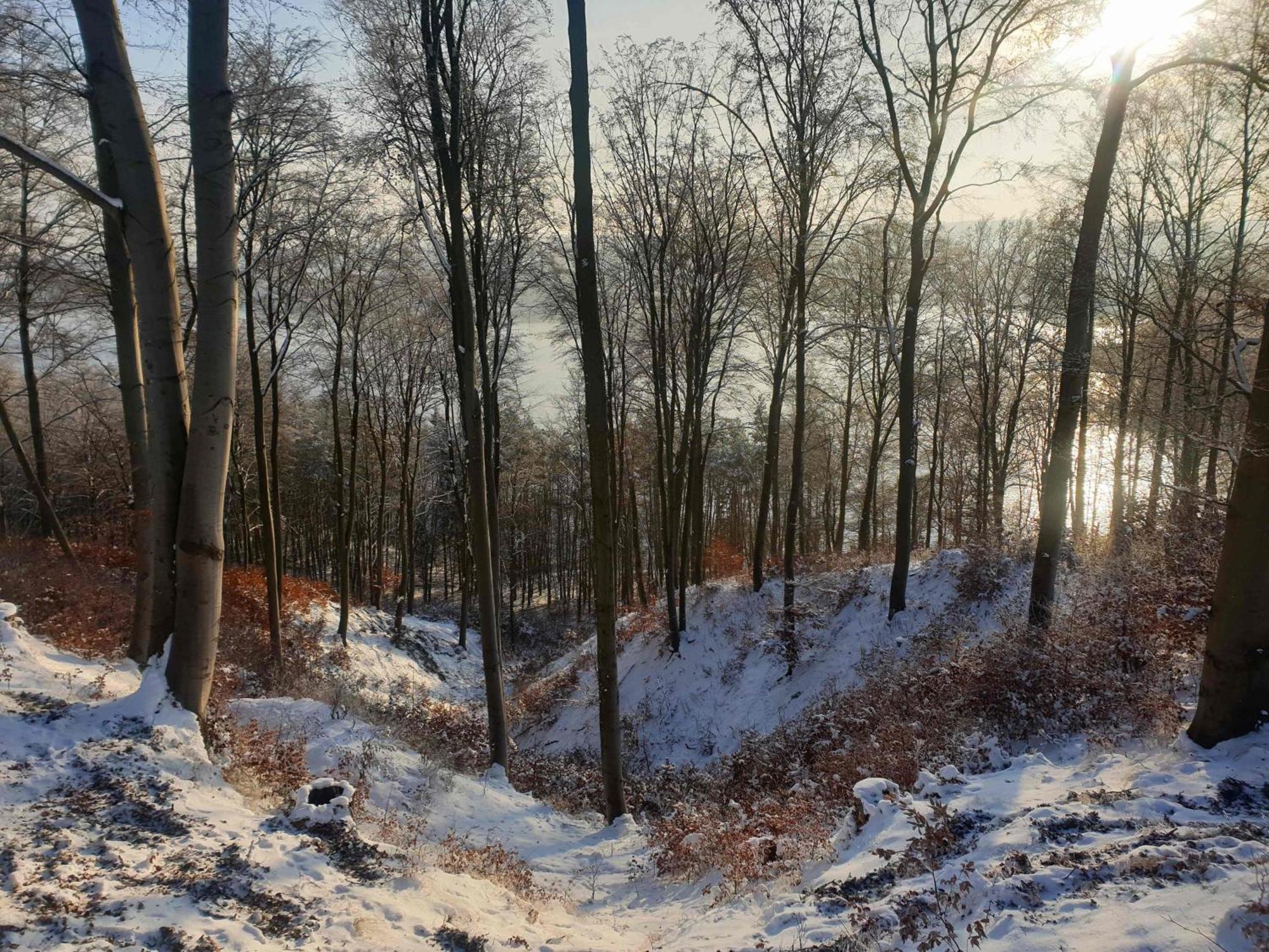 Apartmán Zielona Samotnia Czaplinek Exteriér fotografie