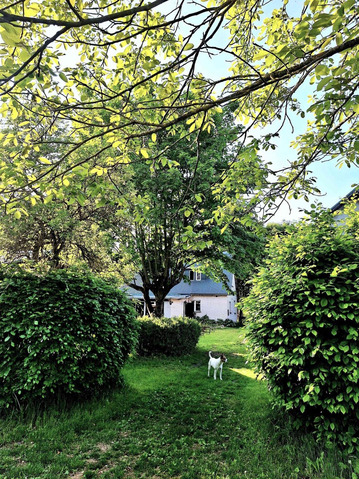 Apartmán Zielona Samotnia Czaplinek Exteriér fotografie